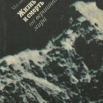 753341