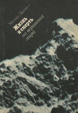 753341