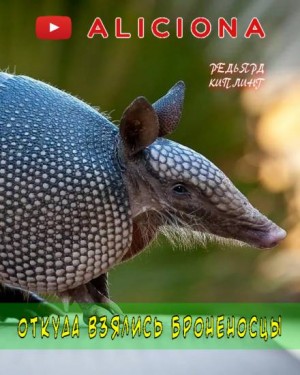753357