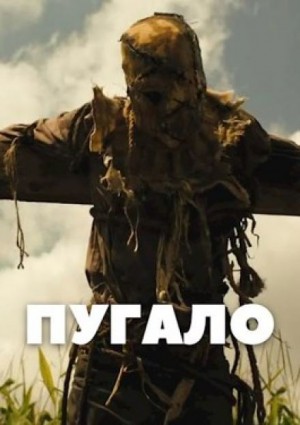 763955
