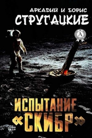 782481