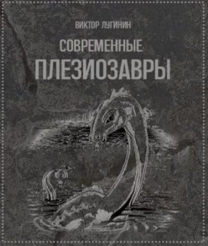 793528