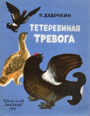 796564