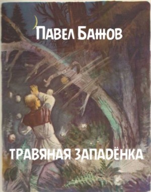 802632