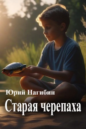 802776