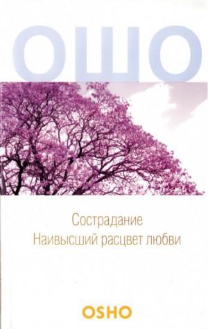 715251