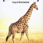 715636