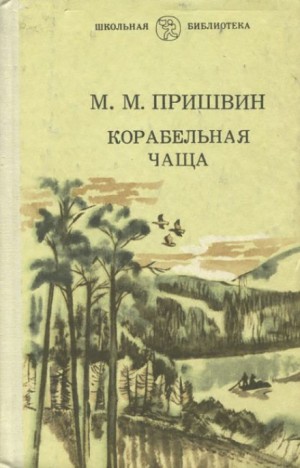716306