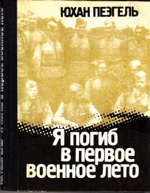 729066