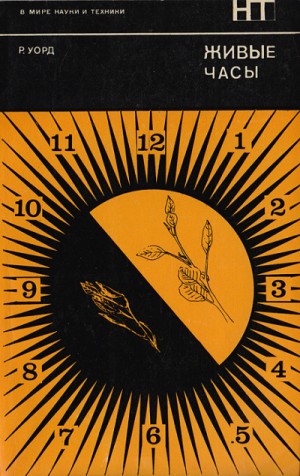 731184