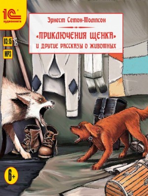 736337