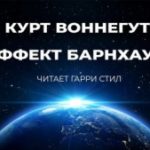 737376