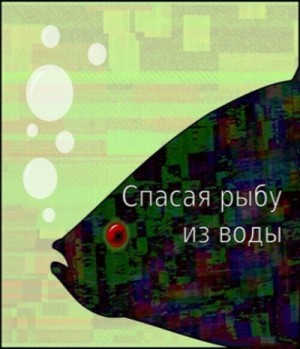 739167