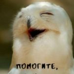 740809